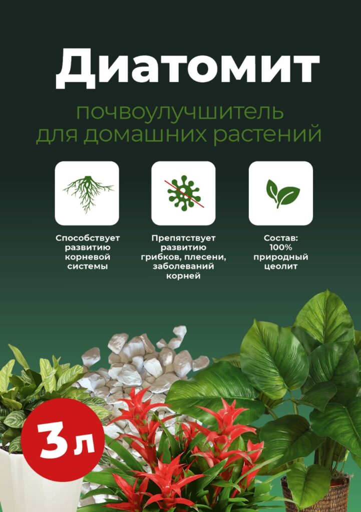 ДИАТОМИТ ПОЧВОУЛУЧШИТЕЛЬ ДЛЯ ДОМАШНИХ РАСТЕНИЙ